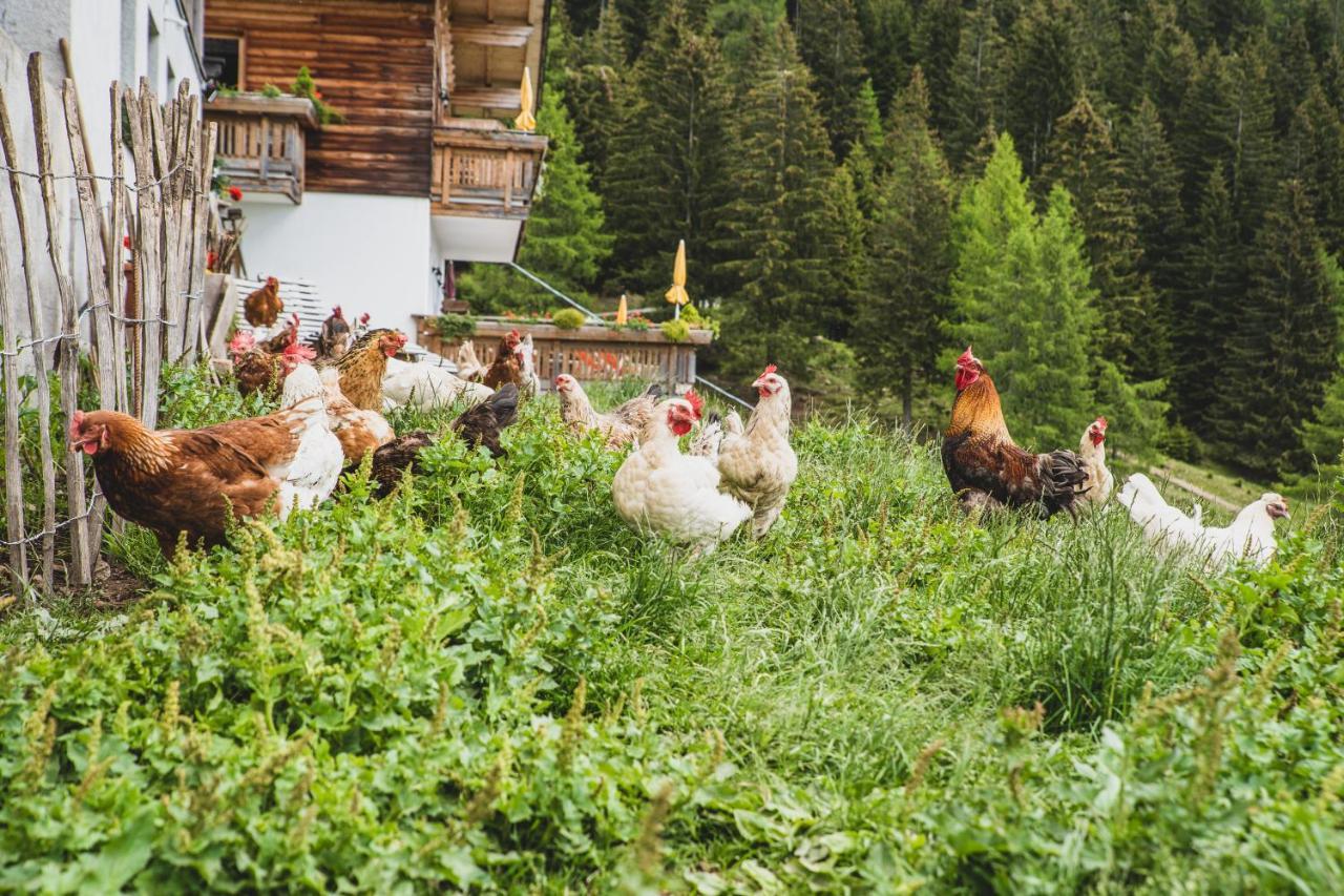 Ferienwohnungen Wiesbauer Schenna Exterior foto