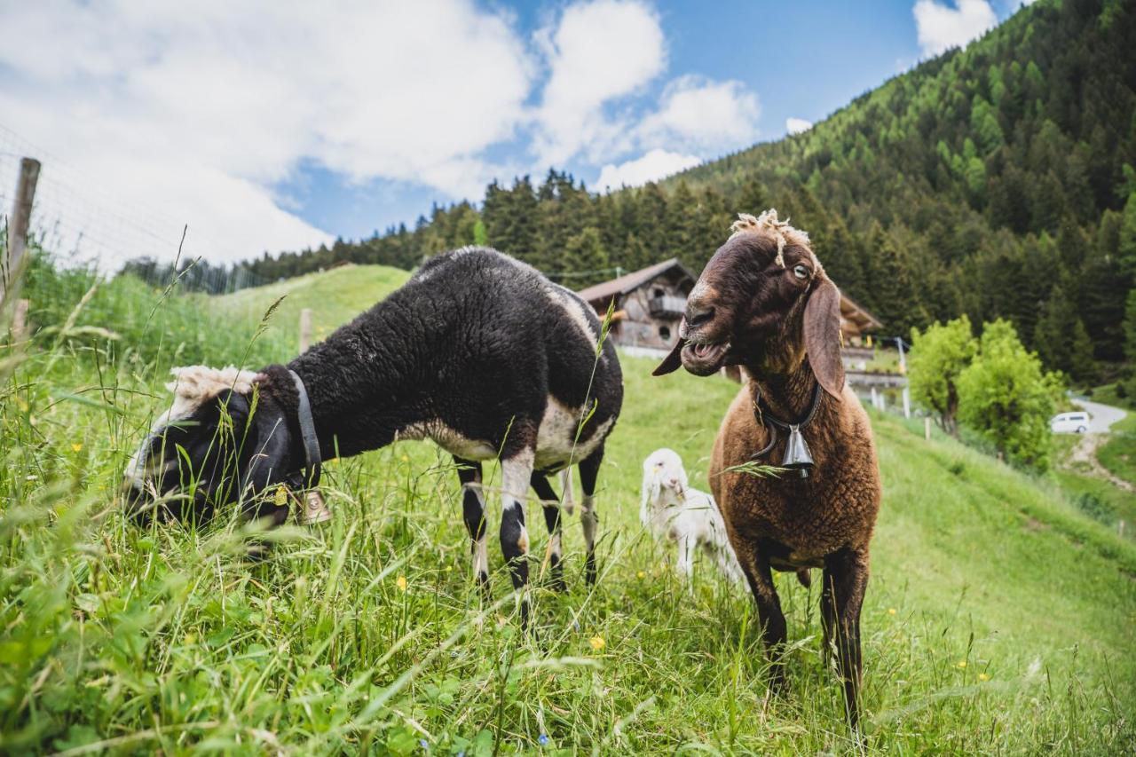 Ferienwohnungen Wiesbauer Schenna Exterior foto